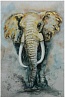 картина ELEPHANT E800006